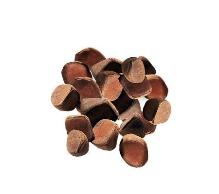 andiroba