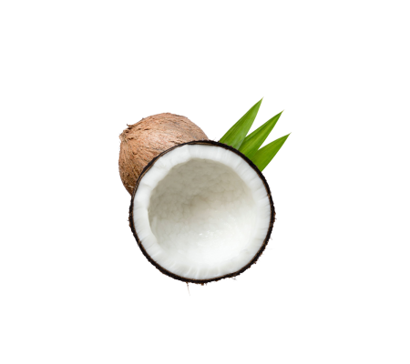 cocco-300x300