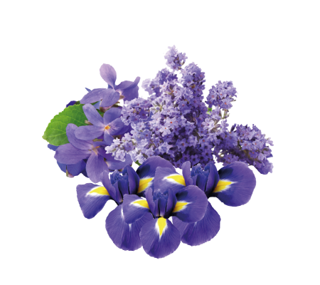 noy_bouquet_1749938425